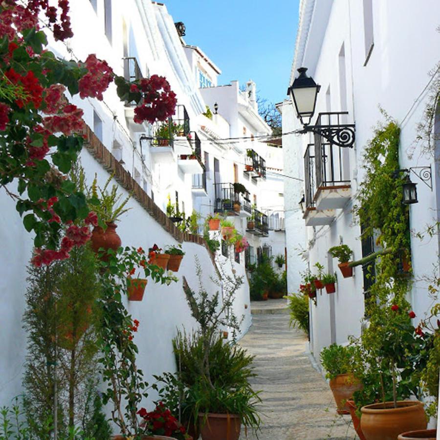 Nerja Paradise Rentals - Villa Cataleya فريجيليانا المظهر الخارجي الصورة
